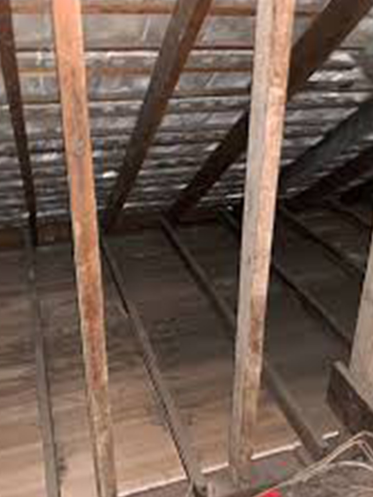 Loose Fill Ceiling Insulation Removal