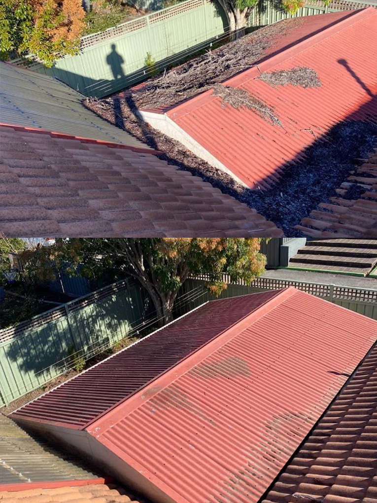 Gutter cleaning Albury